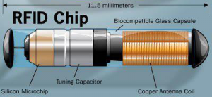 RFID Info Chip